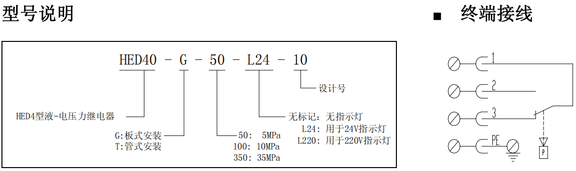HED4型液―電壓力繼電器型號(hào)說明.png HED4型液―電壓力繼電器型號(hào)說明.png